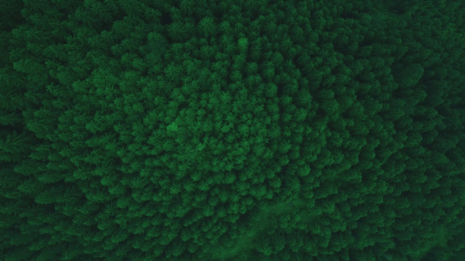 Load video: Shaped by nature. Refined by hand.